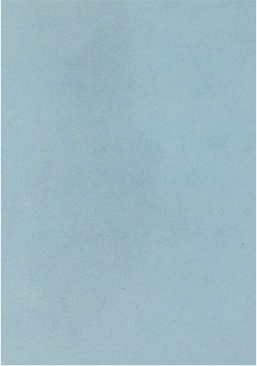 クロストン：めっき厚μm-噴射時間 hr の発錆状態：20μm-3000hr