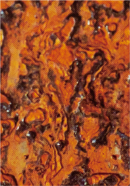 めっき厚μm-噴射時間 hr の発錆状態：硬質クロムめっき：8μm-24hr